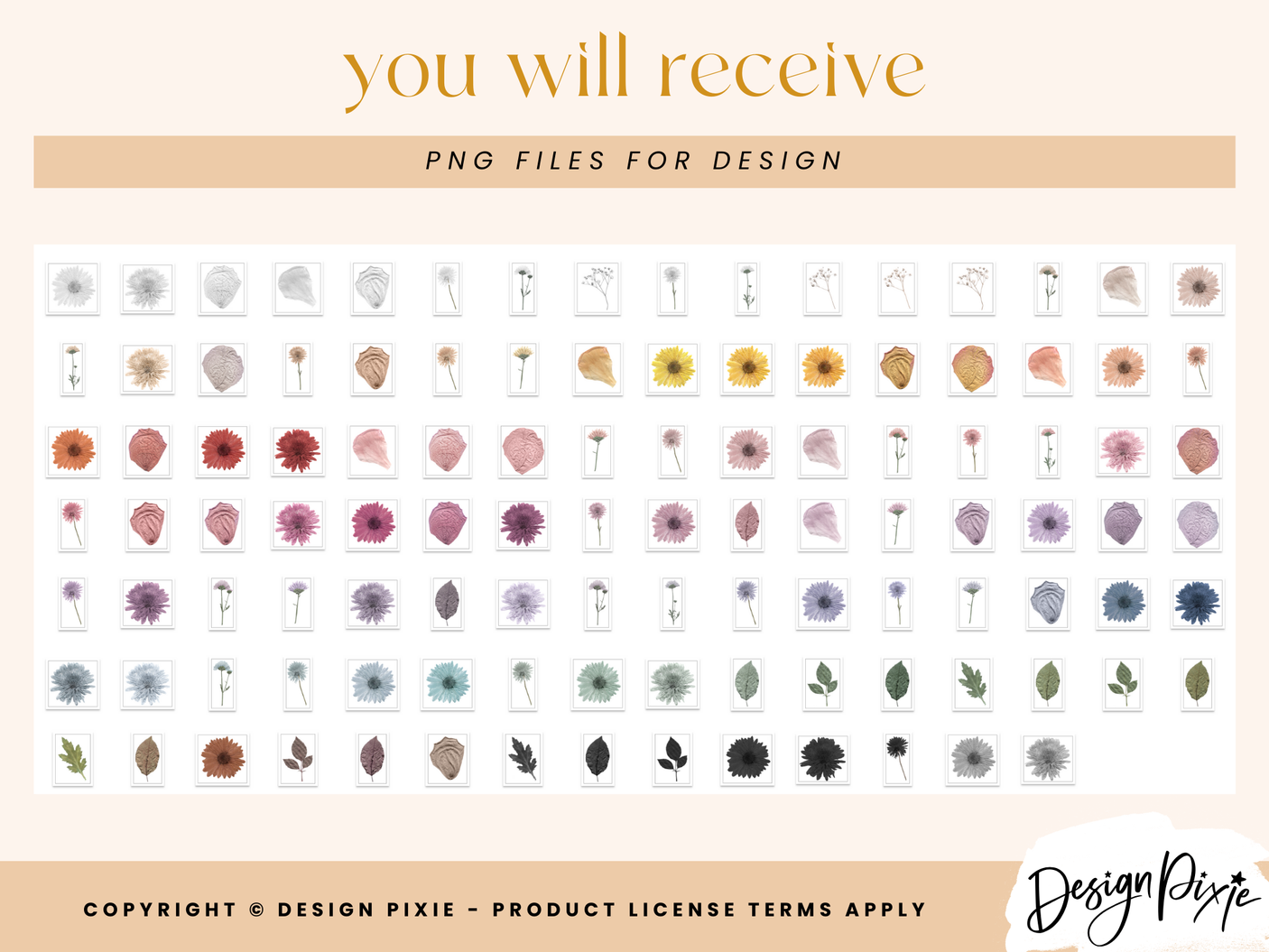 Pressed Flowers PNG Clipart - Design Pixie