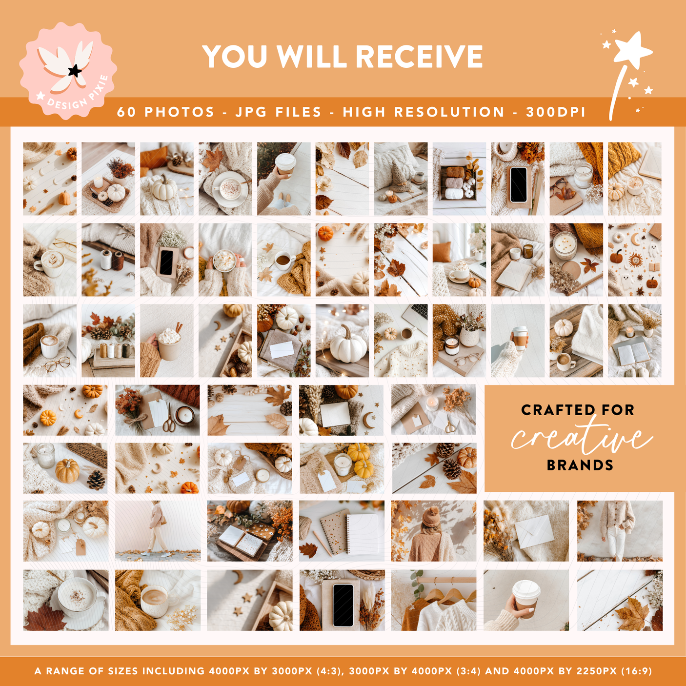 Fall Styled Stock Photos