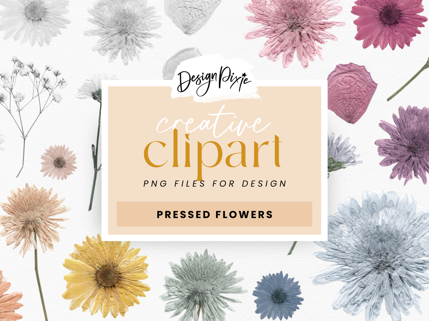 Pressed Flowers PNG Clipart - Design Pixie