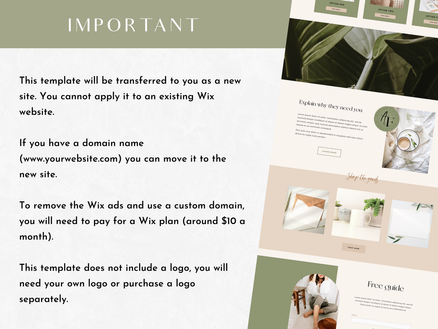 Azalea Finley Wix Template - Design Pixie