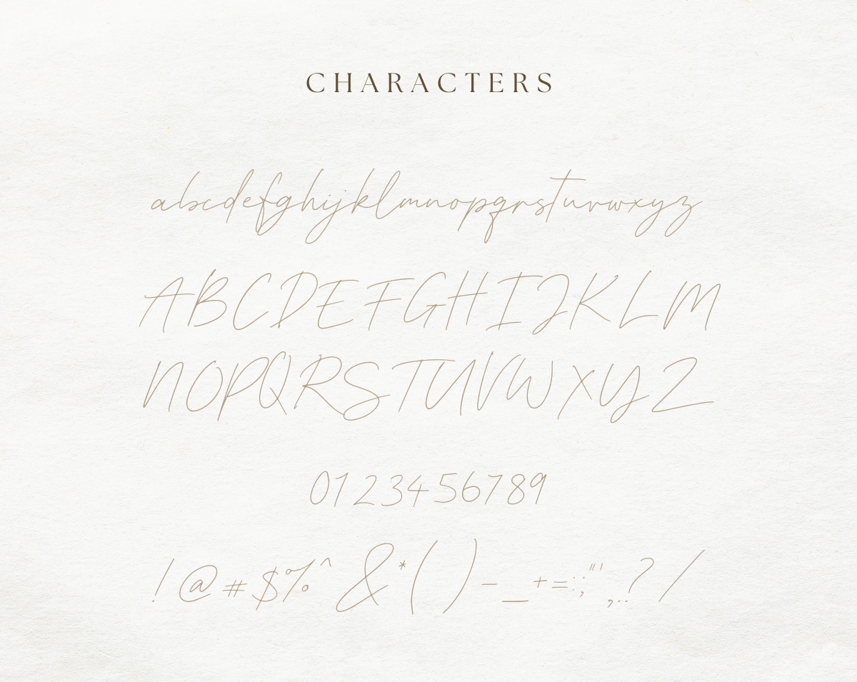 Champagne Dreams Font - Design Pixie