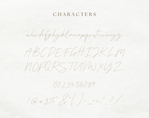 Champagne Dreams Font - Design Pixie