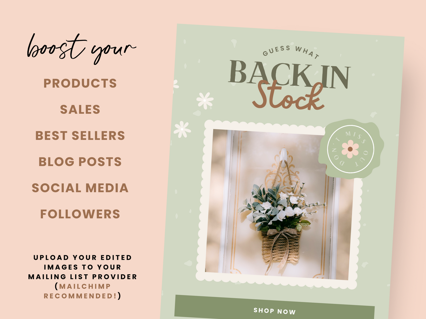 Cottagecore Email Marketing Templates - Design Pixie