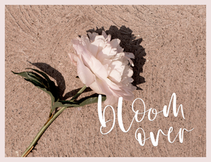 Darling Font - Design Pixie