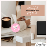 Neutral Aesthetic Stock Photos