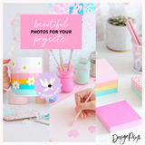 Playful Rainbow Stock Photos