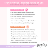 Neutral Aesthetic Stock Photos